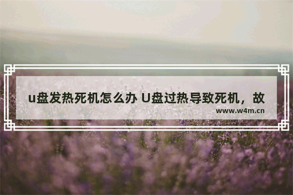 u盘发热死机怎么办 U盘过热导致死机，故障排除建议