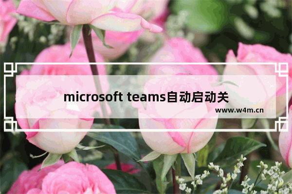 microsoft teams自动启动关闭,microsoft teams如何关闭