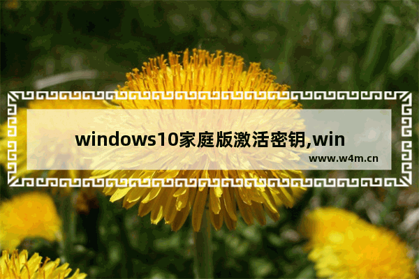 windows10家庭版激活密钥,window10家庭中文版永久激活密钥