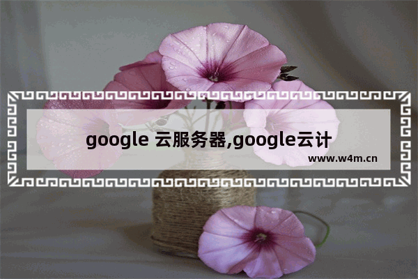 google 云服务器,google云计算平台