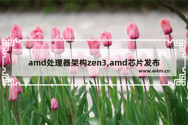 amd处理器架构zen3,amd芯片发布会