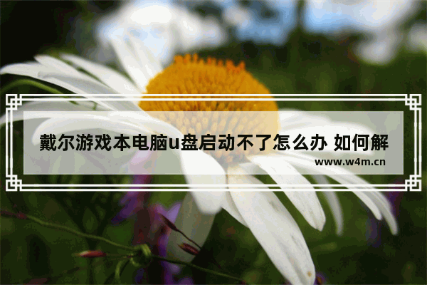 戴尔游戏本电脑u盘启动不了怎么办 如何解决戴尔游戏本电脑无法使用U盘启动的问题？