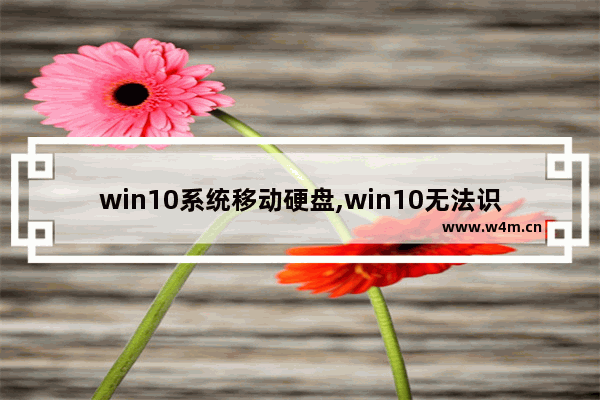 win10系统移动硬盘,win10无法识别新加的机械硬盘怎么办