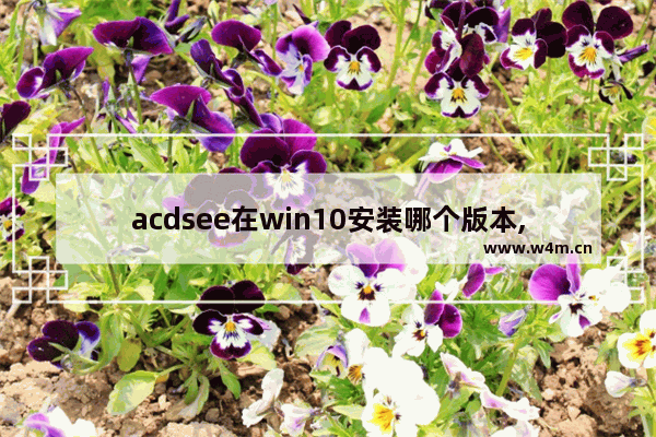 acdsee在win10安装哪个版本,