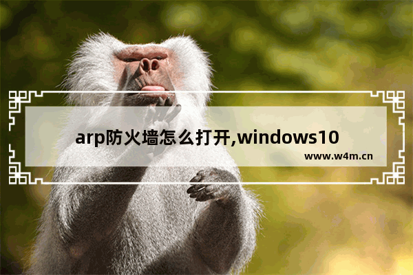 arp防火墙怎么打开,windows10防火墙怎么开启