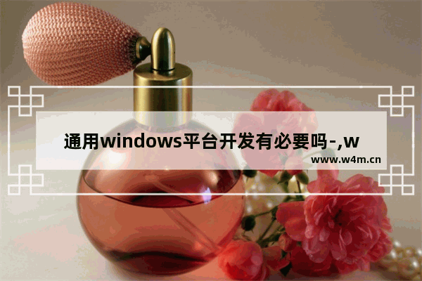 通用windows平台开发有必要吗-,windows系统软件还是应用软件