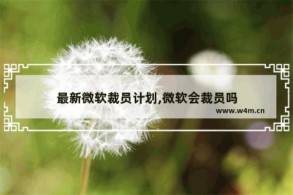 最新微软裁员计划,微软会裁员吗