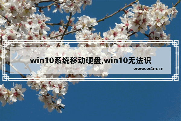 win10系统移动硬盘,win10无法识别新加的机械硬盘怎么办