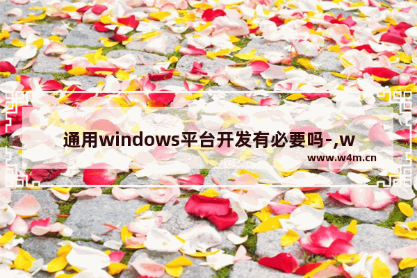 通用windows平台开发有必要吗-,windows系统软件还是应用软件