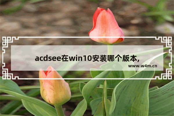 acdsee在win10安装哪个版本,