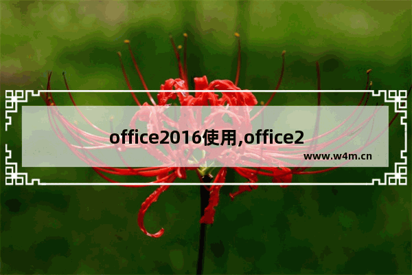 office2016使用,office2016有什么功能