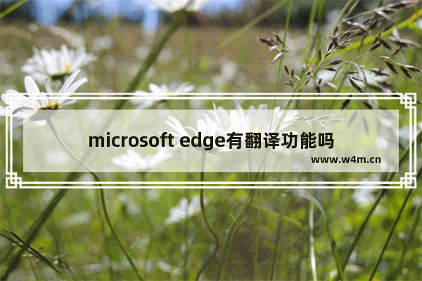 microsoft edge有翻译功能吗,edge浏览器谷歌翻译