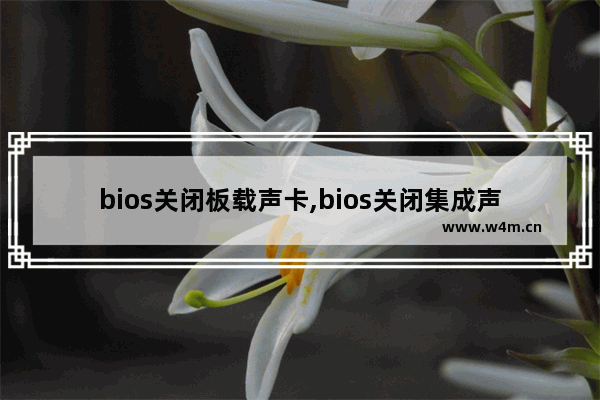 bios关闭板载声卡,bios关闭集成声卡