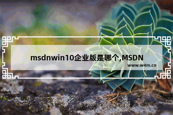 msdnwin10企业版是哪个,MSDN下载win10