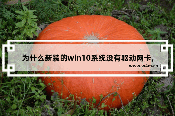 为什么新装的win10系统没有驱动网卡,win10重装没有网卡驱动