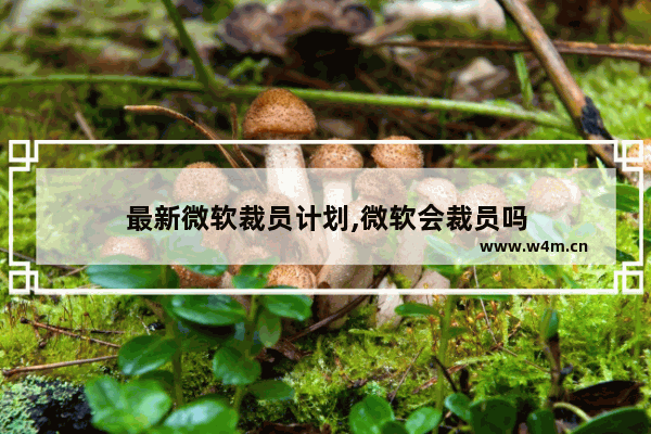 最新微软裁员计划,微软会裁员吗