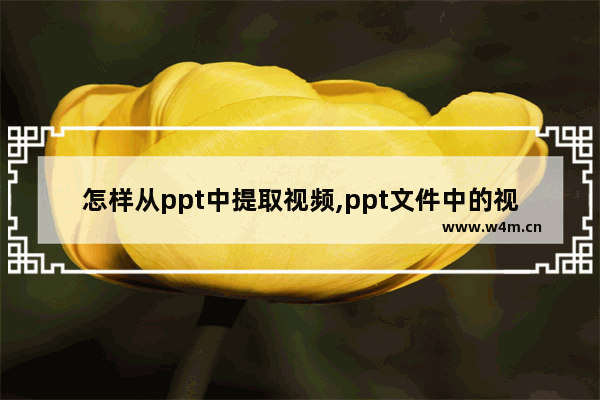 怎样从ppt中提取视频,ppt文件中的视频怎么提取出来