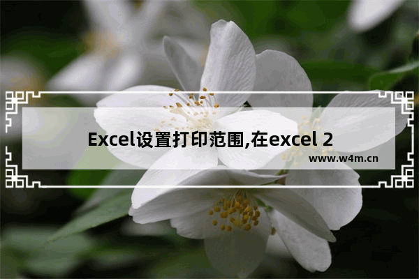 Excel设置打印范围,在excel 2010的打印设置中可以设置打印的是什么