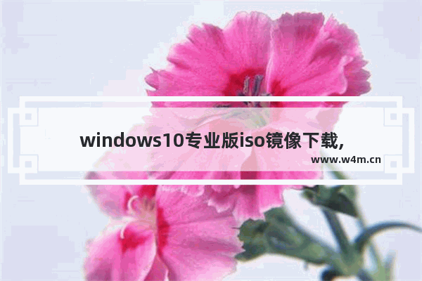 windows10专业版iso镜像下载,win10专业版iso镜像文件下载_1