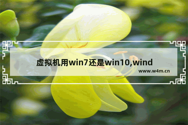 虚拟机用win7还是win10,windows自带的虚拟机是什么