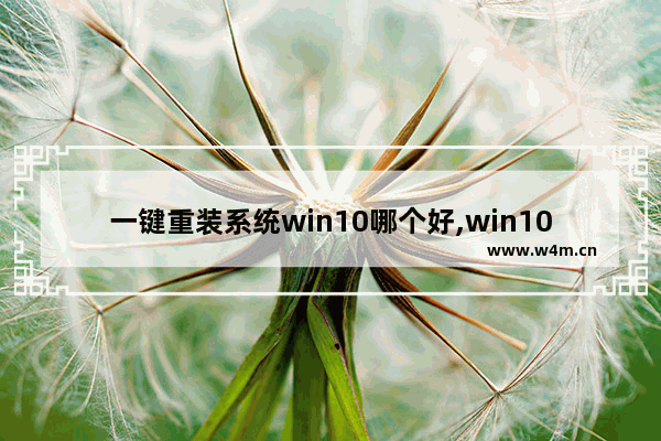 一键重装系统win10哪个好,win10最干净的一键重装系统