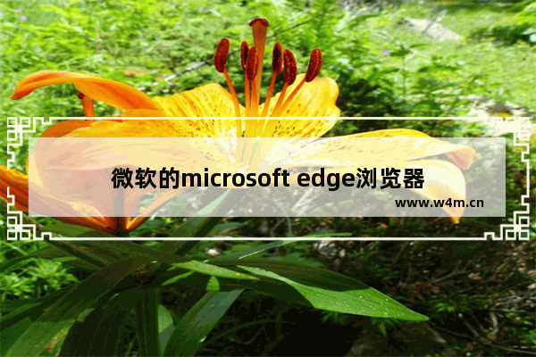 微软的microsoft edge浏览器,windows10的microsoft edge