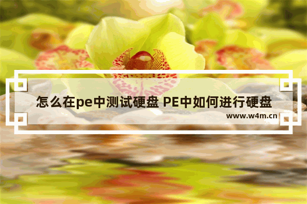 怎么在pe中测试硬盘 PE中如何进行硬盘测试