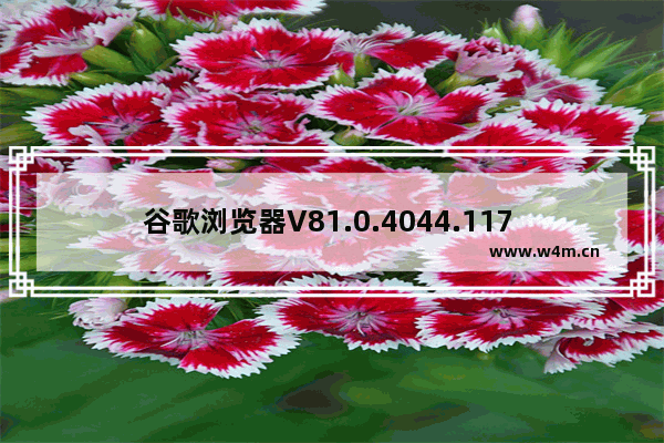 谷歌浏览器V81.0.4044.117 安卓最新版,谷歌浏览器 官方最新版 v80.0.3987.87