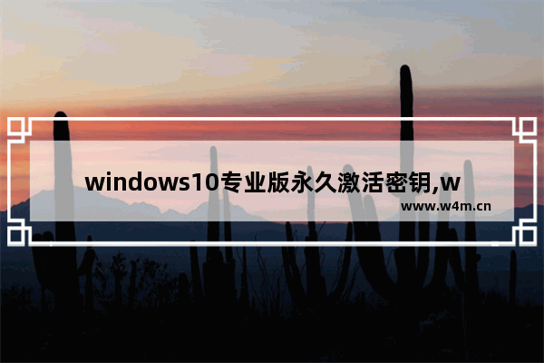 windows10专业版永久激活密钥,windows10永久激活码 win10专业版密钥