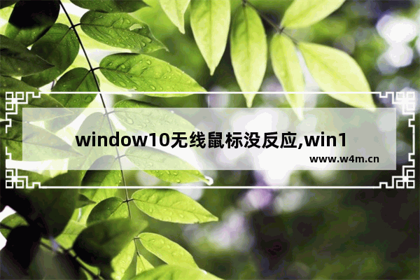 window10无线鼠标没反应,win10无线鼠标连不上