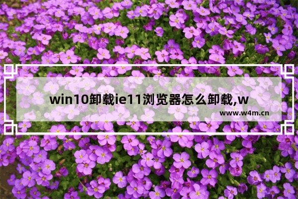 win10卸载ie11浏览器怎么卸载,win7系统自带ie11怎么卸载