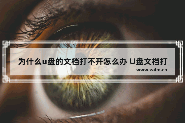 为什么u盘的文档打不开怎么办 U盘文档打不开？解决方法在这里！