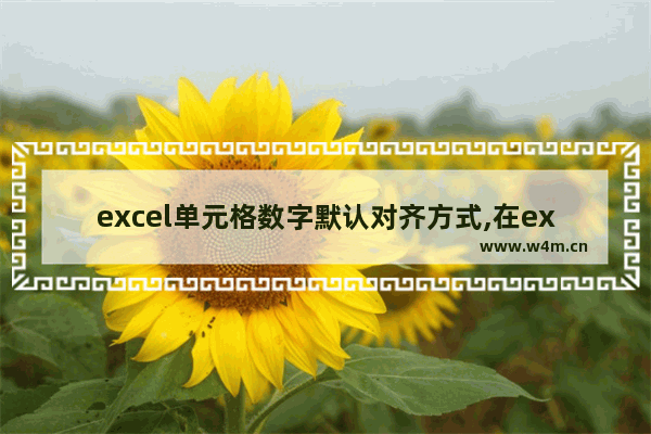 excel单元格数字默认对齐方式,在excel2010中,单元格数字默认的对齐方式_1