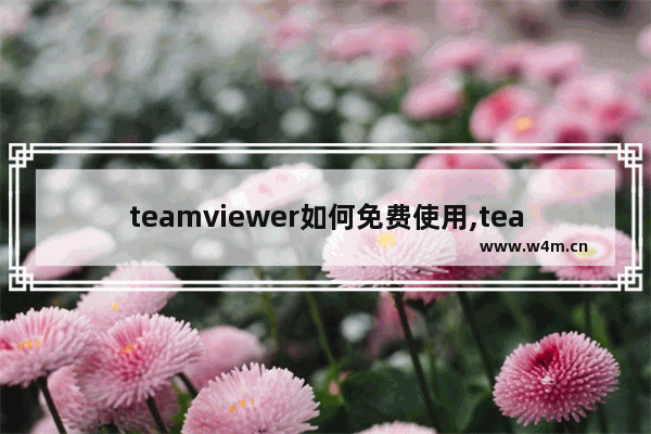 teamviewer如何免费使用,teamviewer免费版可以用多久