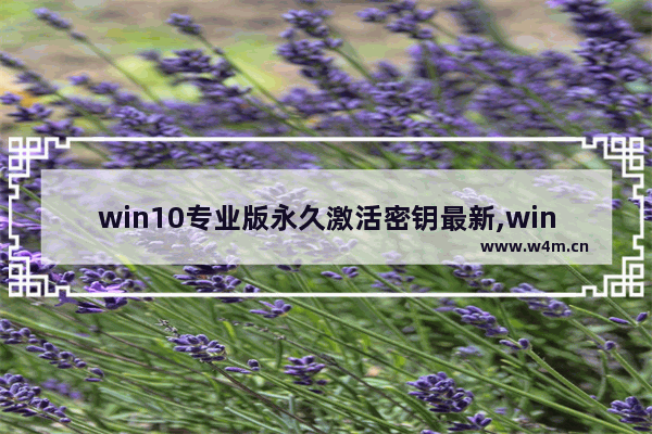 win10专业版永久激活密钥最新,win10专业版激活密钥免费使用