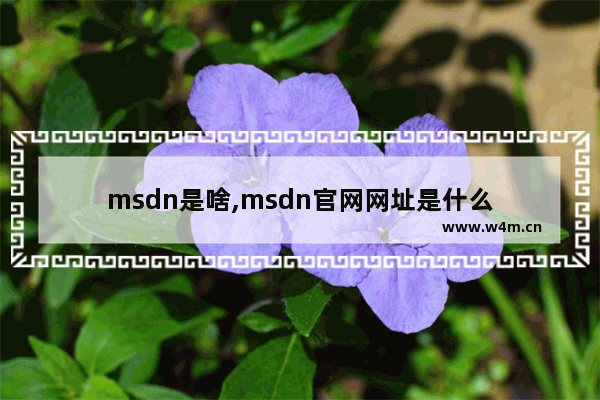 msdn是啥,msdn官网网址是什么