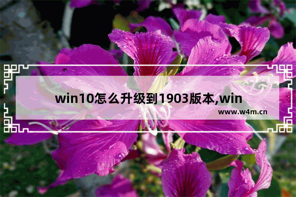 win10怎么升级到1903版本,win101809怎么升级到1903