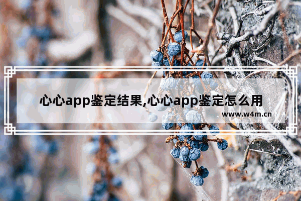 心心app鉴定结果,心心app鉴定怎么用