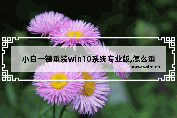 小白一键重装win10系统专业版,怎么重装原版win10系统教程