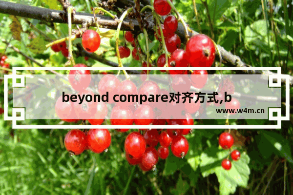 beyond compare对齐方式,beyondcompare对齐方式细节