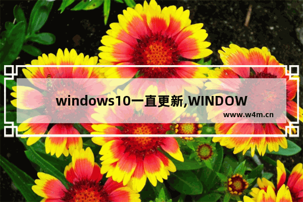 windows10一直更新,WINDOWS十一什么时候可以更新