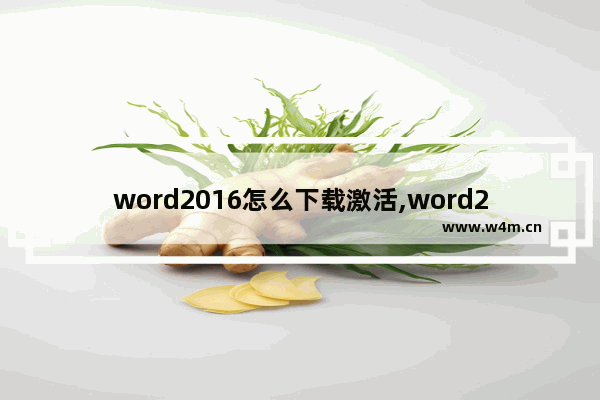 word2016怎么下载激活,word2007激活教程