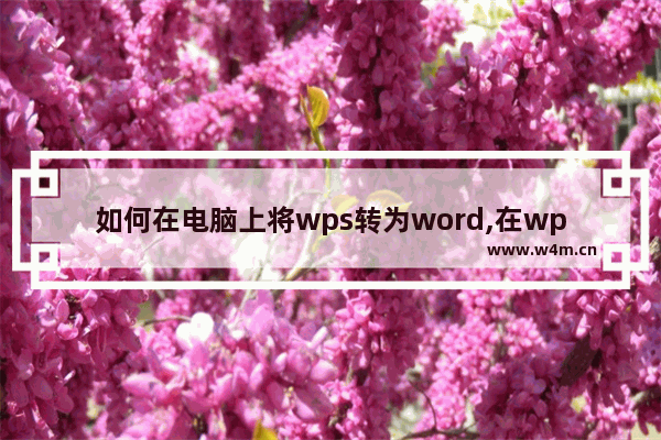 如何在电脑上将wps转为word,在wps上怎样转成word