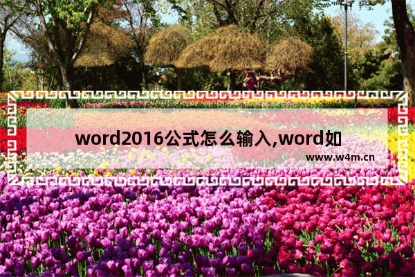 word2016公式怎么输入,word如何输入化学计算公式