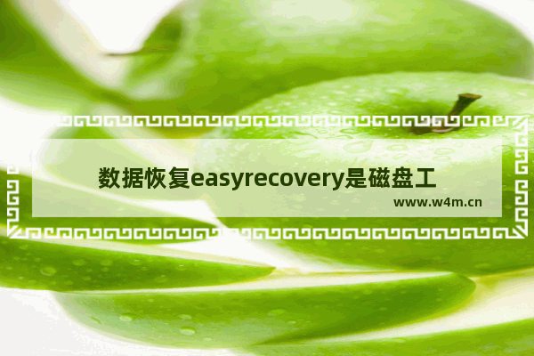 数据恢复easyrecovery是磁盘工具吗,如何用easyrecovery恢复数据