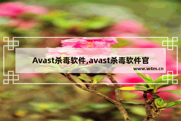 Avast杀毒软件,avast杀毒软件官网