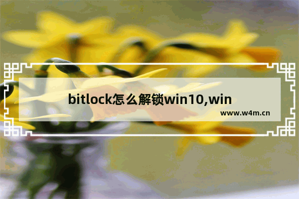 bitlock怎么解锁win10,win10bitlocker怎么加密