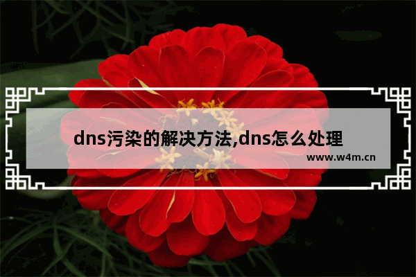 dns污染的解决方法,dns怎么处理