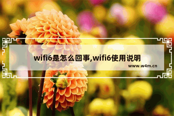 wifi6是怎么回事,wifi6使用说明