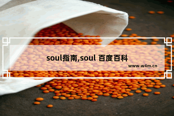 soul指南,soul 百度百科